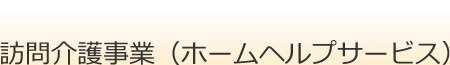 訪問介護事業（ホームヘルプサービス）