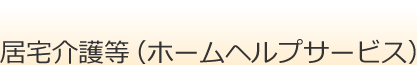 訪問介護事業（ホームヘルプサービス）